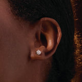 14K Rose 1/4 CTW Natural Diamond Stud Earrings