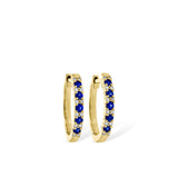 14KT Gold Earrings