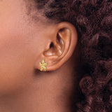 14k Starfish Earrings