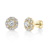 14 kt yellow gold stud earrings - sc55022475